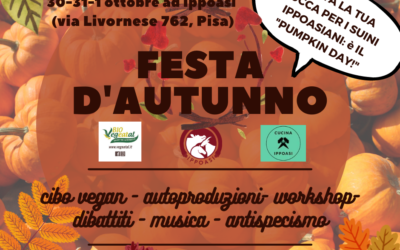 30-31-1 ottobre/novembre: Festa d’Autunno ad Ippoasi!