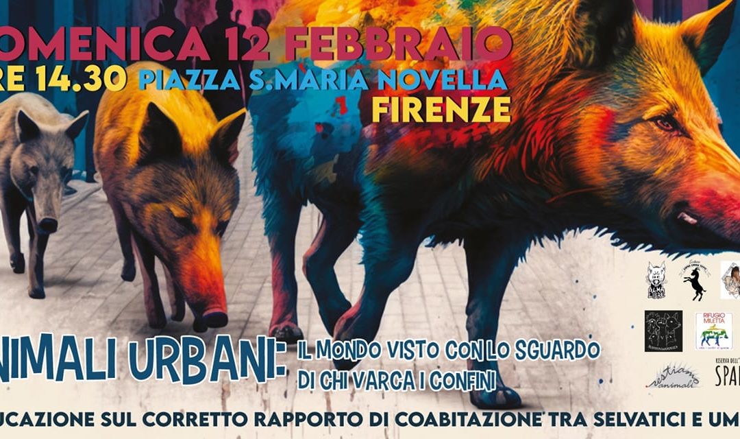 Domenica 12 febbraio, Firenze: ANIMALI URBANI: IL MONDO VISTO CON LO SGUARDO DI CHI VARCA I CONFINI